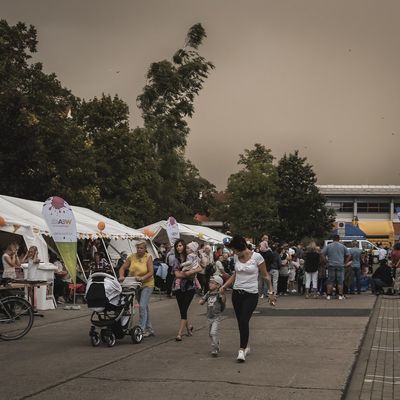 Stadtteilfest_Südstadt_2018_3